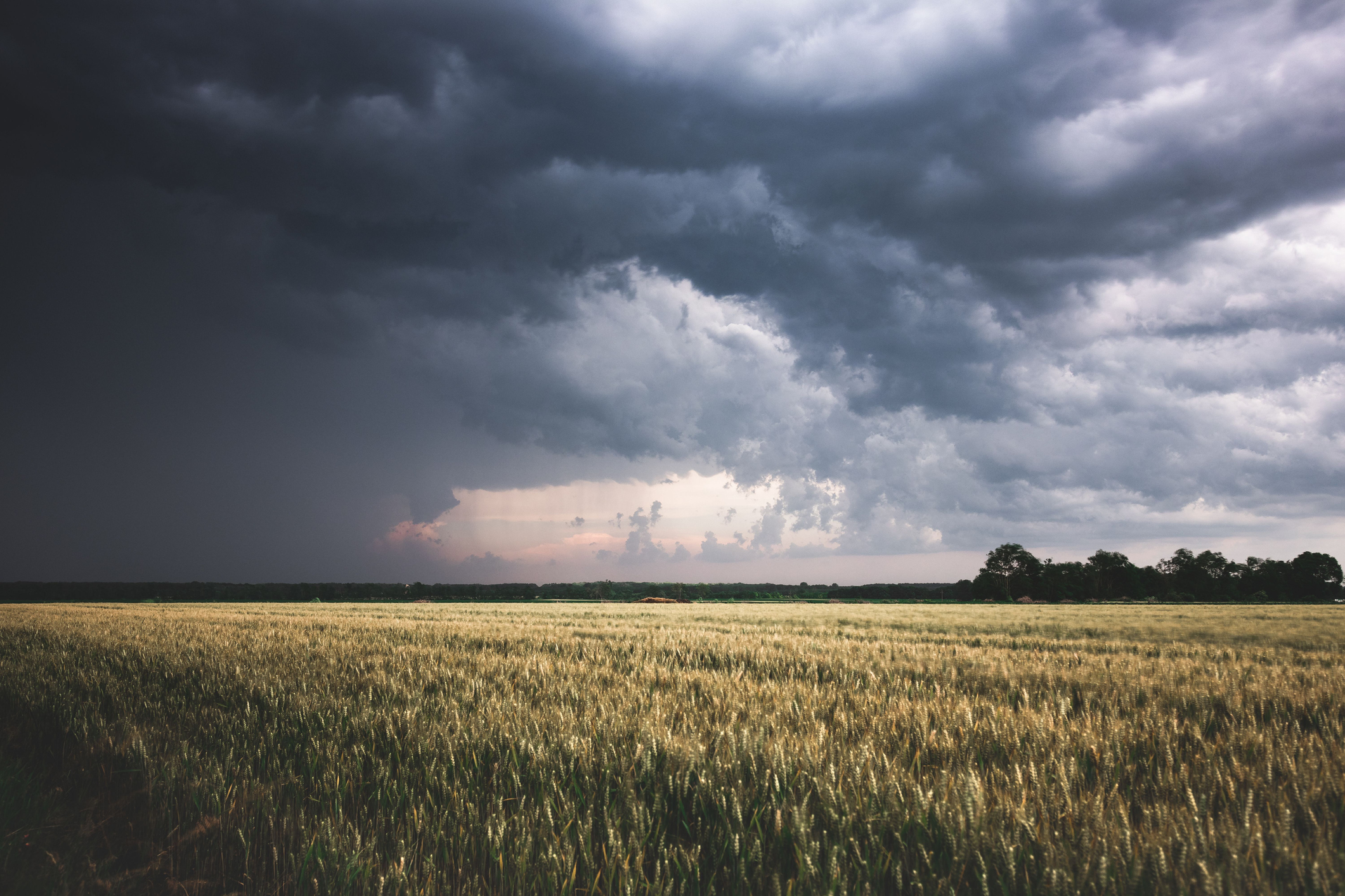 Storm approaching the horizon of crops