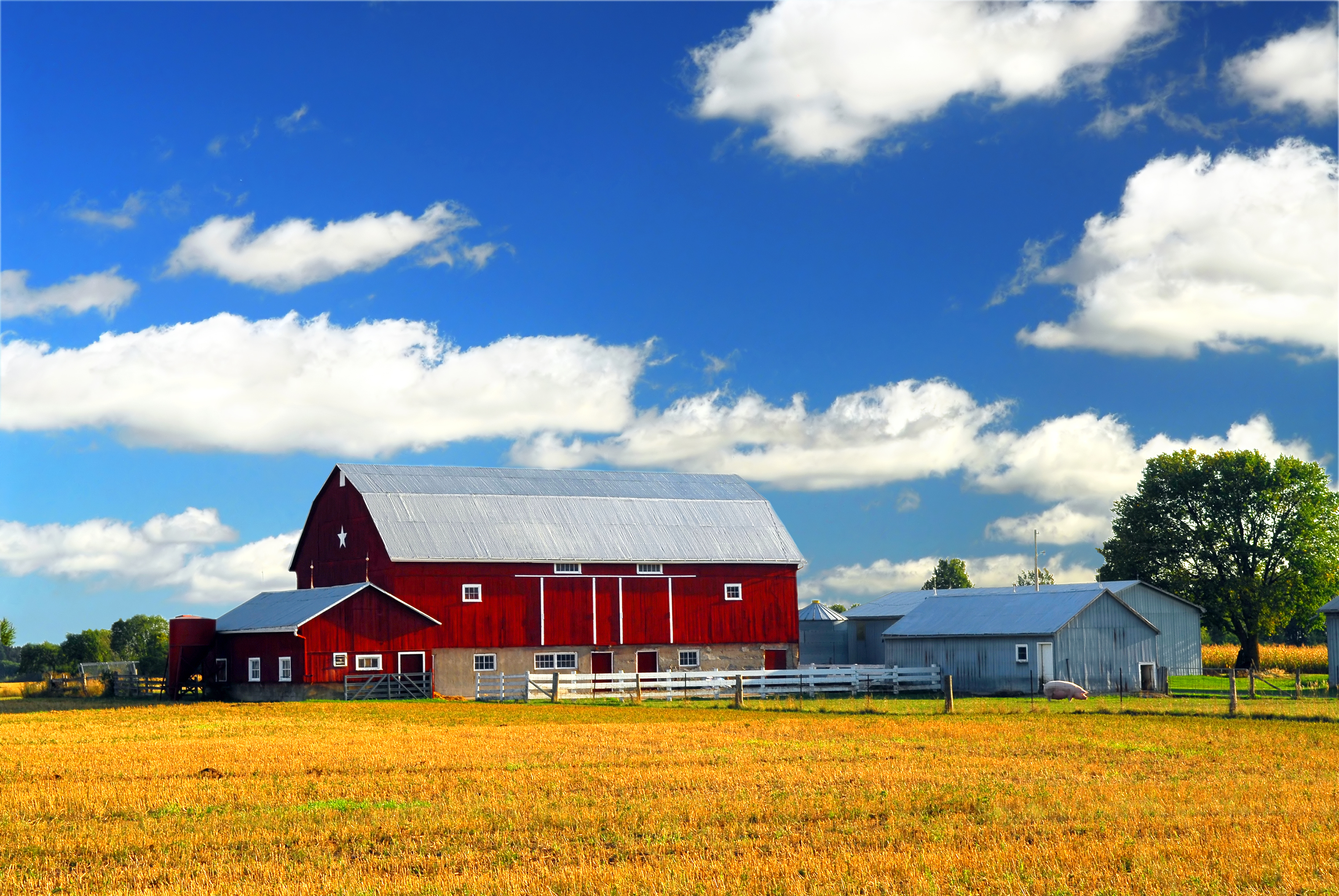 farm buildings