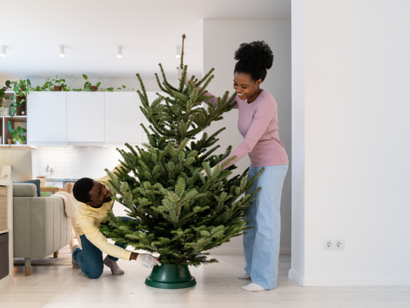 Setting up a tree