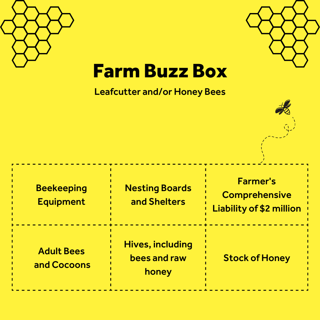 Farm Buzz Box details