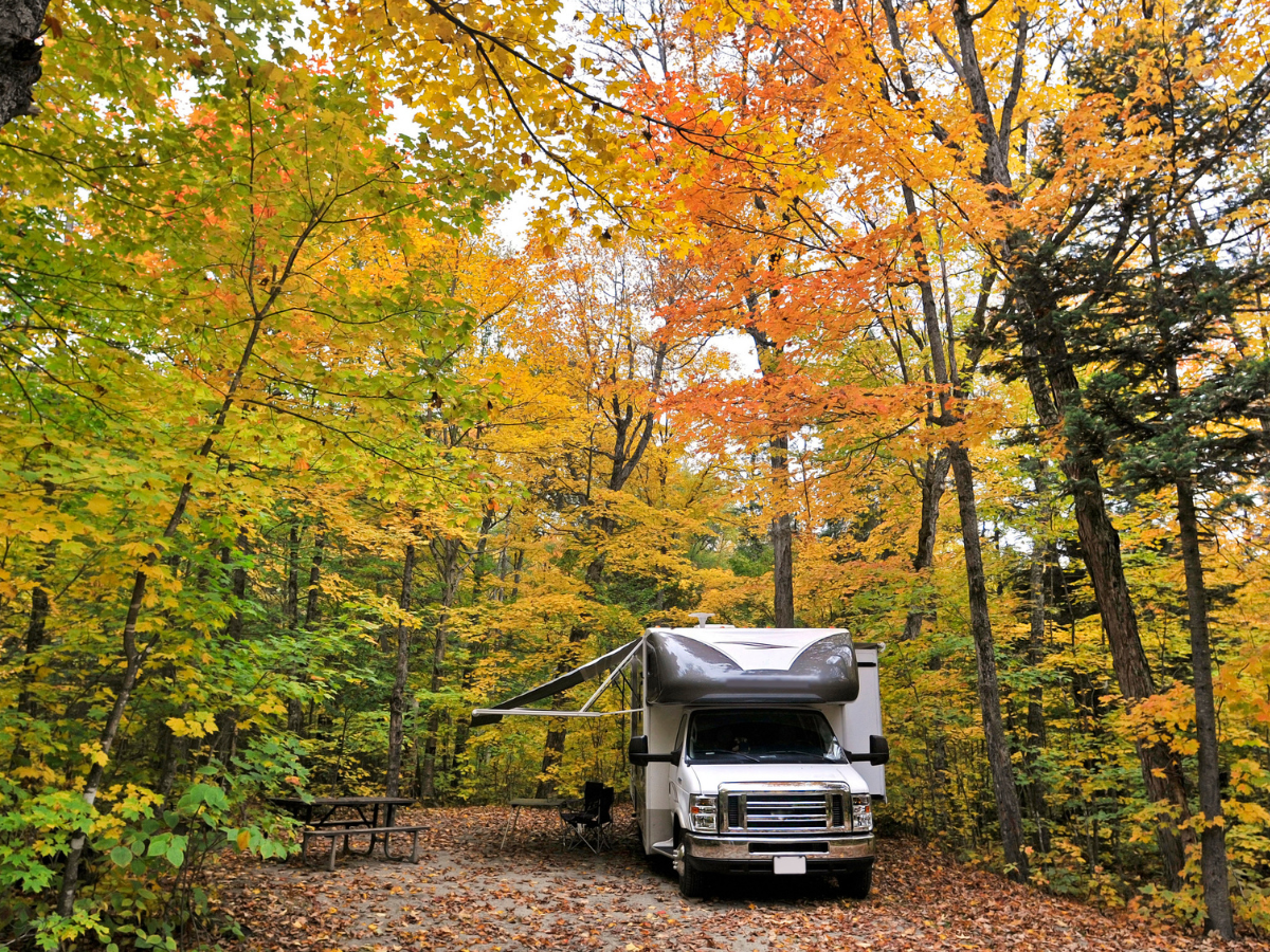 RV parked at a forest Camp surrounded by colorful autumn foliage and a peaceful campsite setting