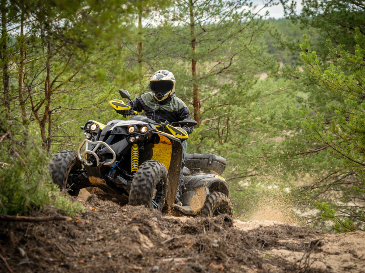 Off-road rider navigating a challenging, wooded forest path on their ATV.
