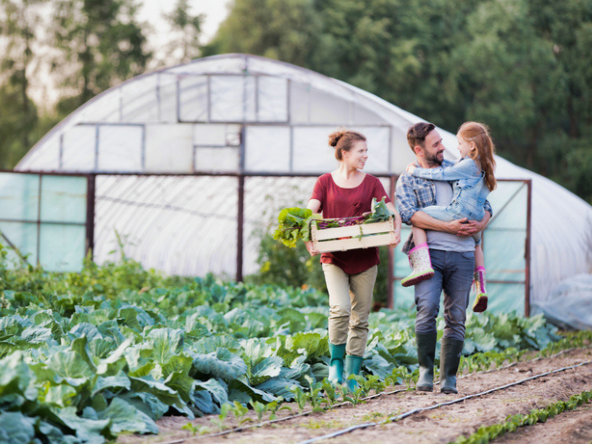 A family walks through a vegetable field on a rural property, carrying harvested produce with a greenhouse in the background, representing hobby farming and rural family life.