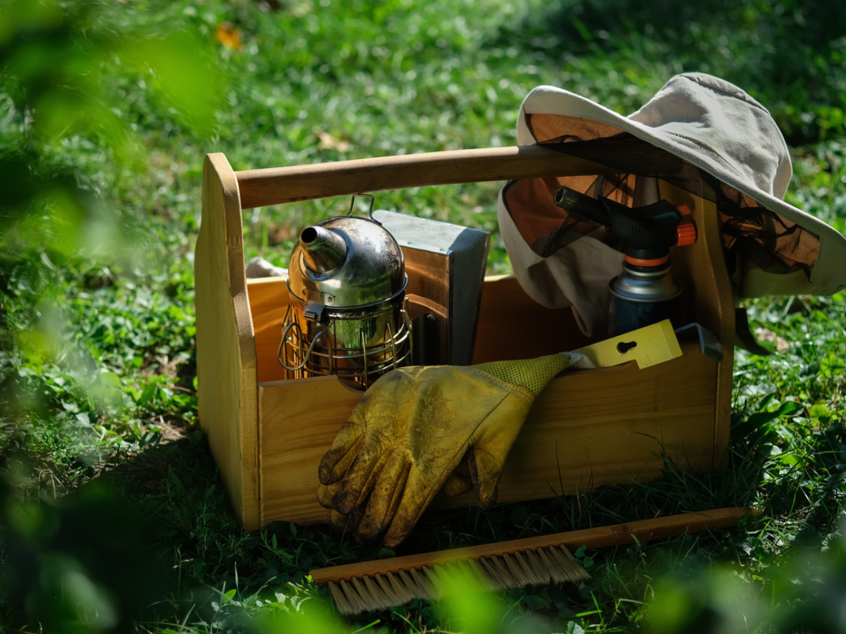 What Does Bee Insurance Cover? Hive Losses, Liability & More | Sandbox ...