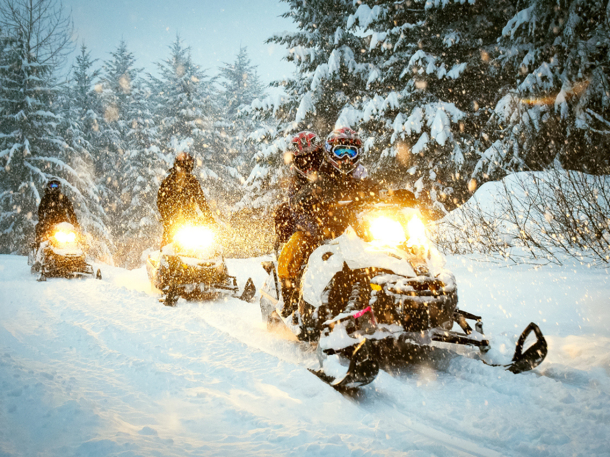 Snowmobilers riding through snowy forest trail in Saskatchewan winter