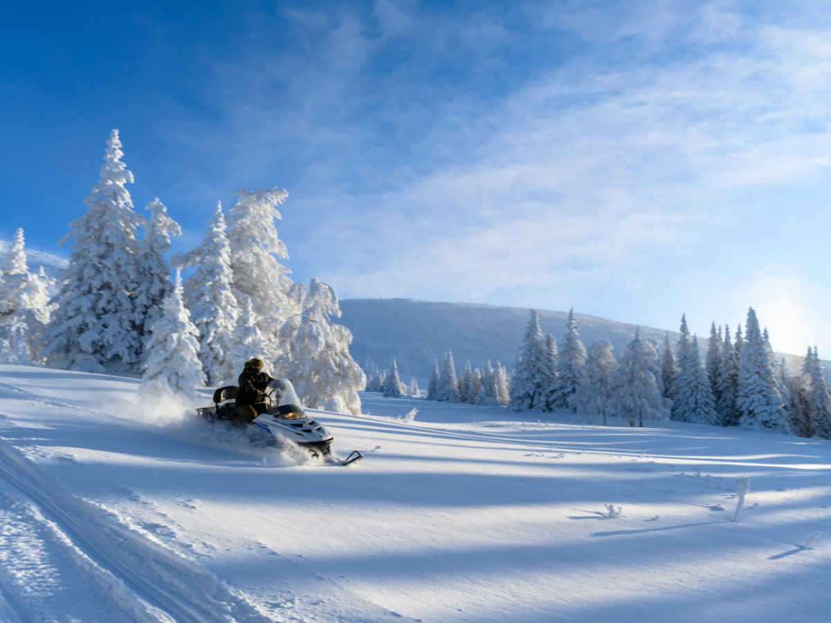 Person riding snowmobile across snowy field with winter trees