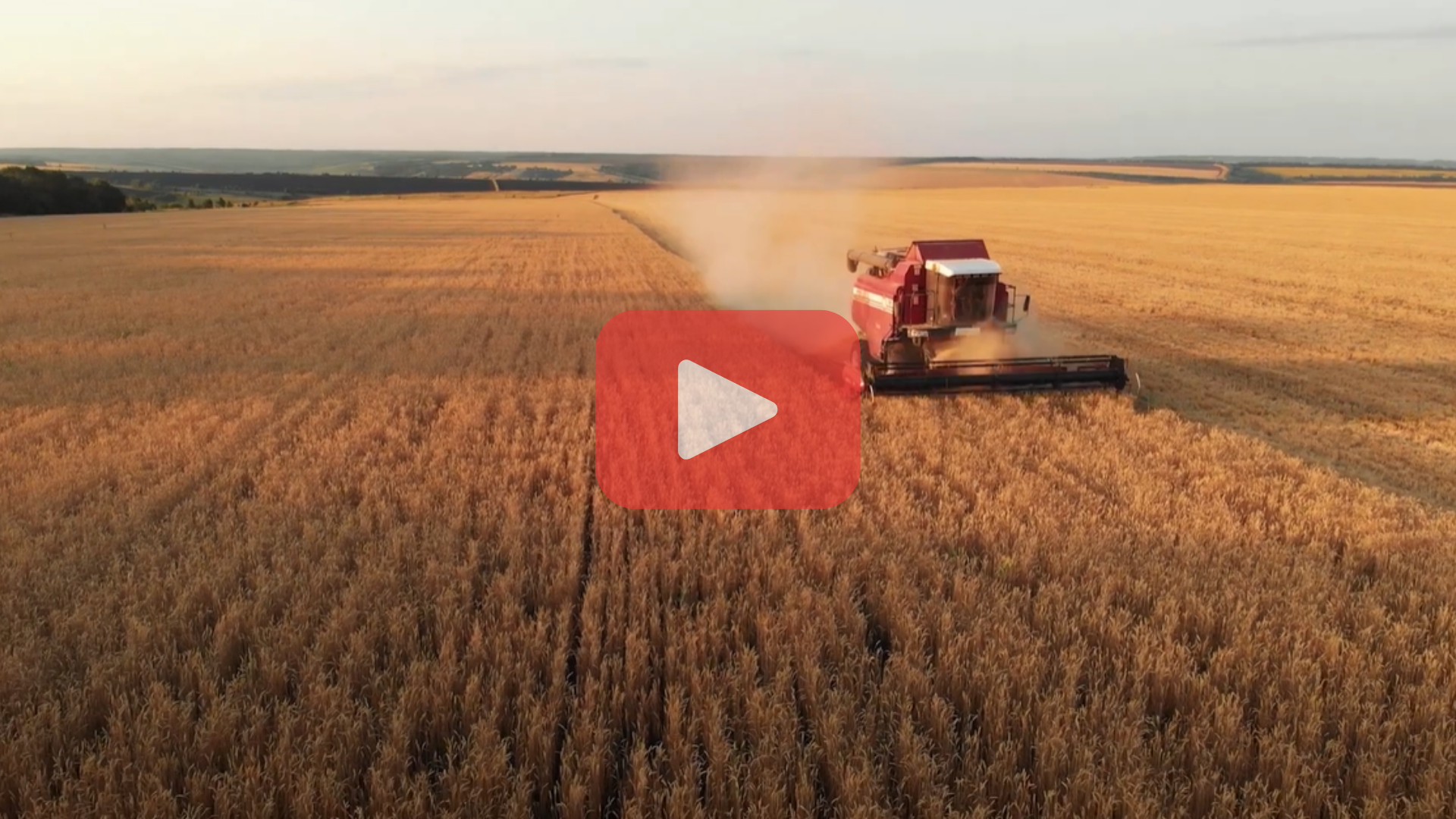 Farmer in the field with farm insurance