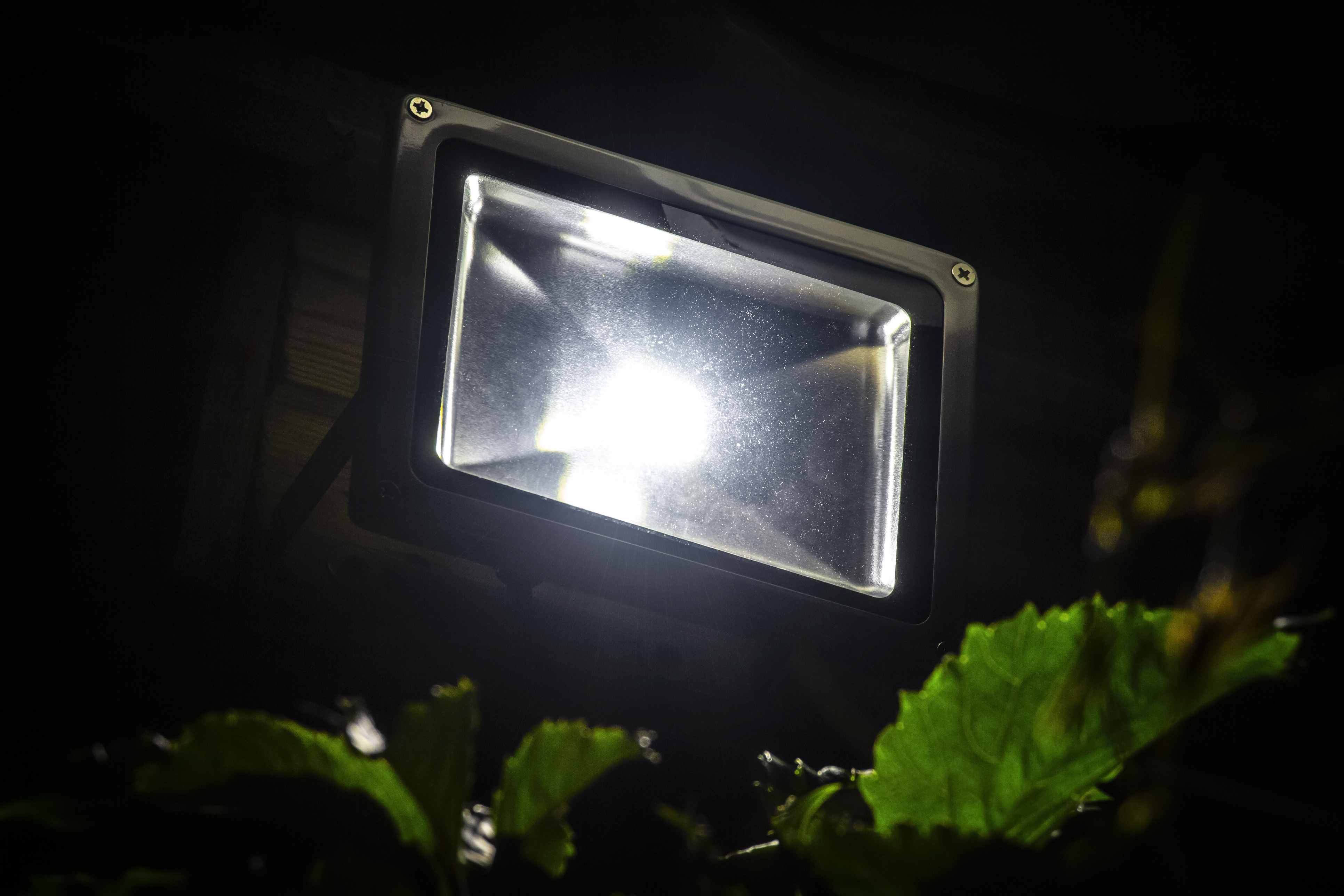 Security light outdoors on farm