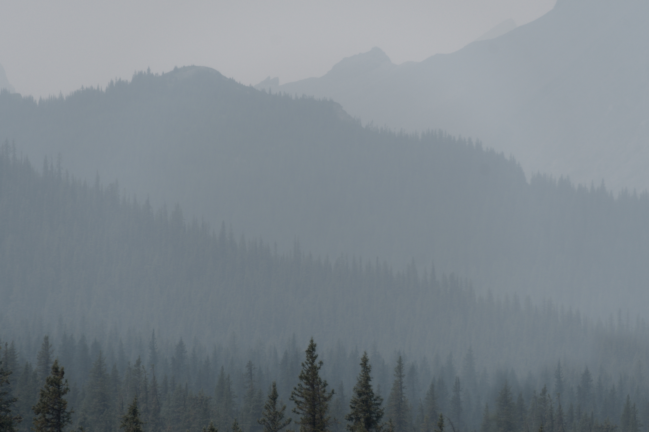 Jasper National Park Smoke