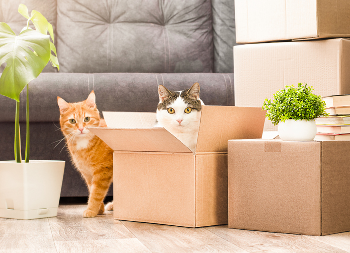 Unpacking and moving in to a home rental