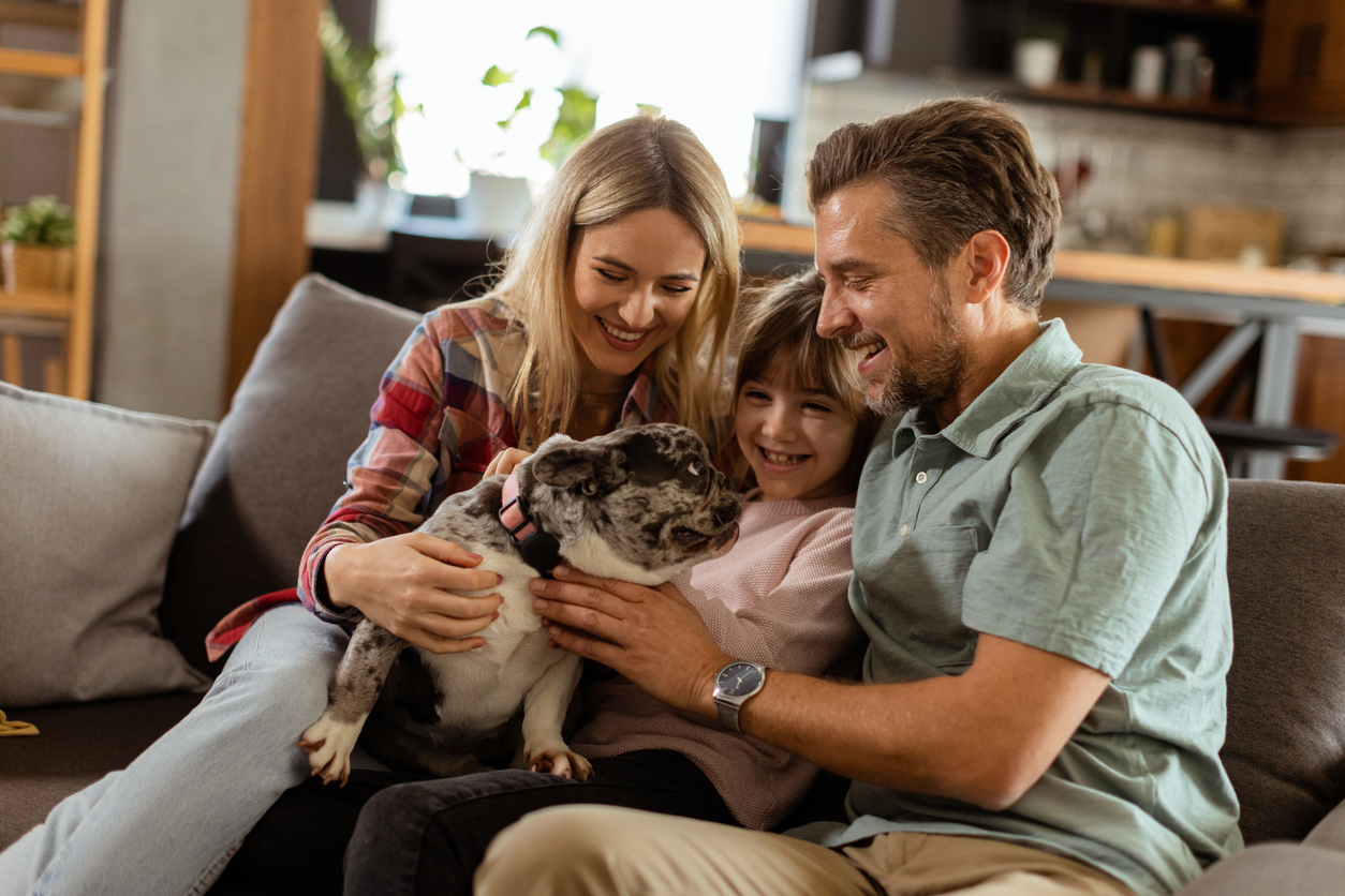 sandbox policyholders with their new pet