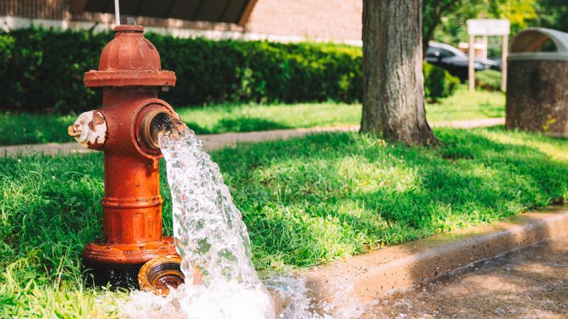 Fire hydrant leaking water