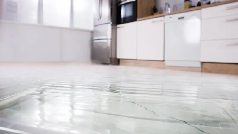 Water Leak in Kitchen