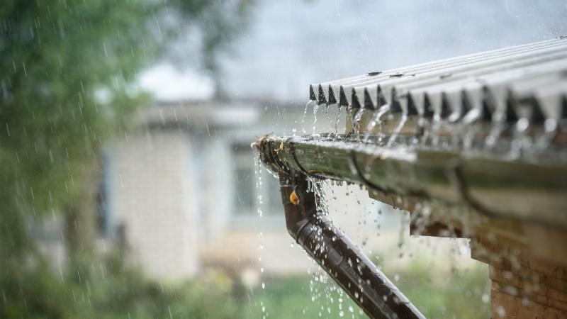 Rain and Gutter