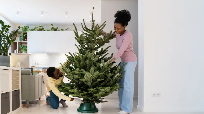 Setting up a tree in a home with property insurance