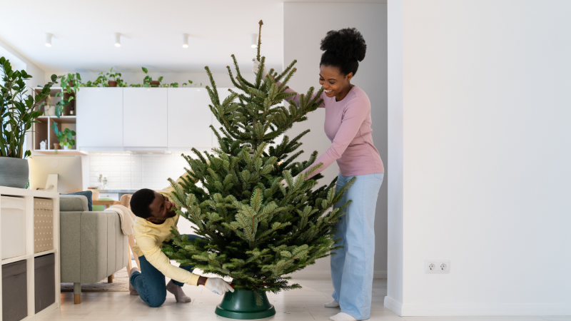 Setting up a tree