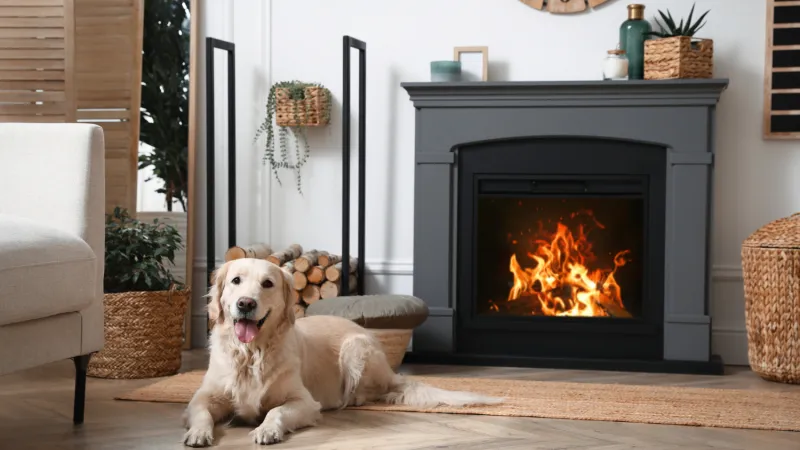 Condo Fireplace