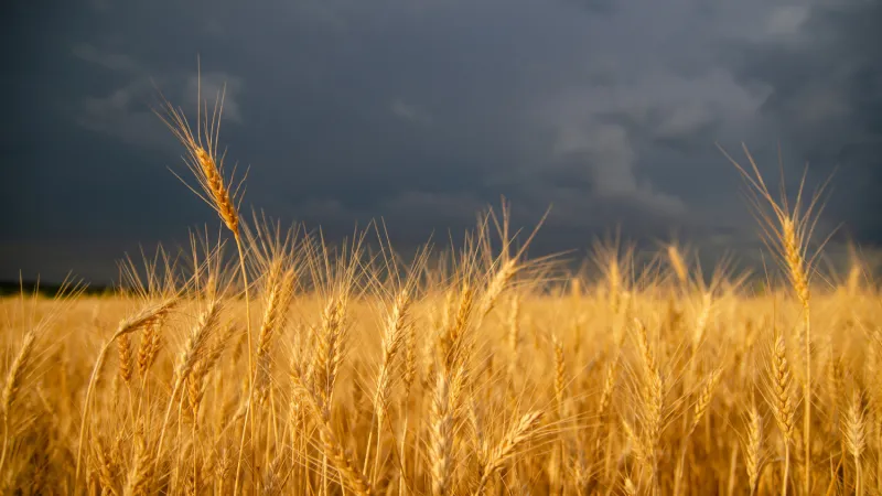 Prairie storm farm field