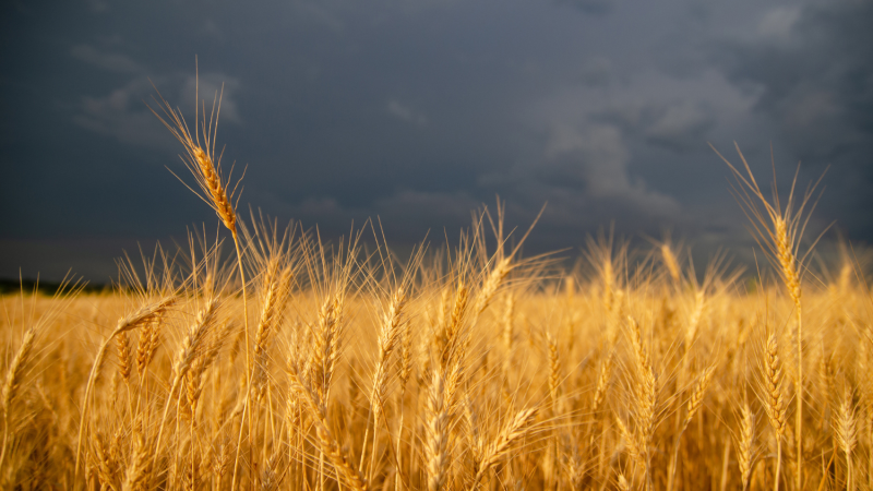 Prairie storm farm field