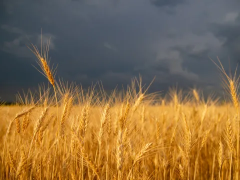 Prairie storm farm field