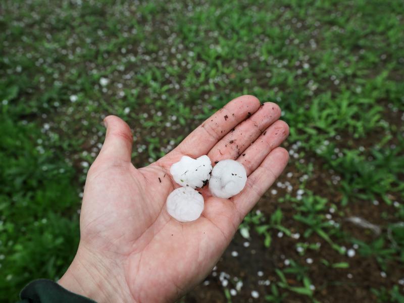 Hail Damage to Home