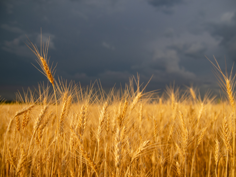 Prairie storm farm field