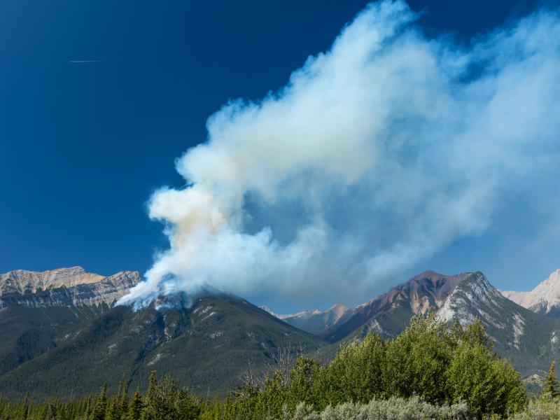 Jasper National Park Forest Fire